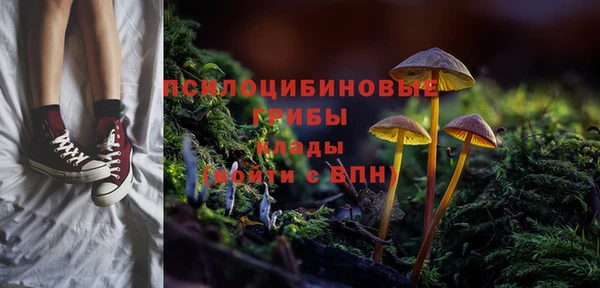 прущий лед Богородицк