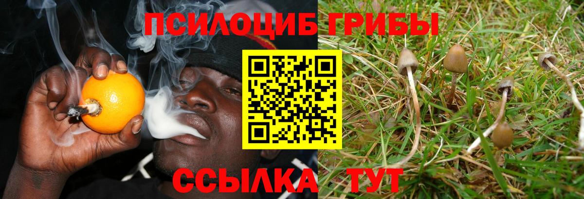 Псилоцибиновые грибы GOLDEN TEACHER  Галлюциногенные грибы Psilocybine cubensis  Вход с VPN  Надым 